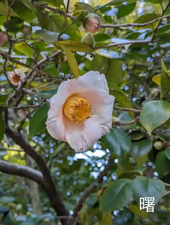 城南宮(京都府)