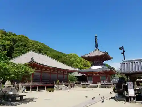 浄土寺(広島県)