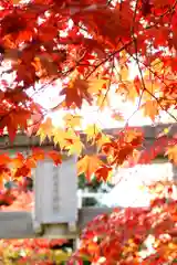 彌彦神社　(伊夜日子神社)(北海道)