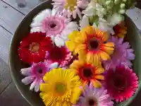 滑川神社 - 仕事と子どもの守り神の手水舎