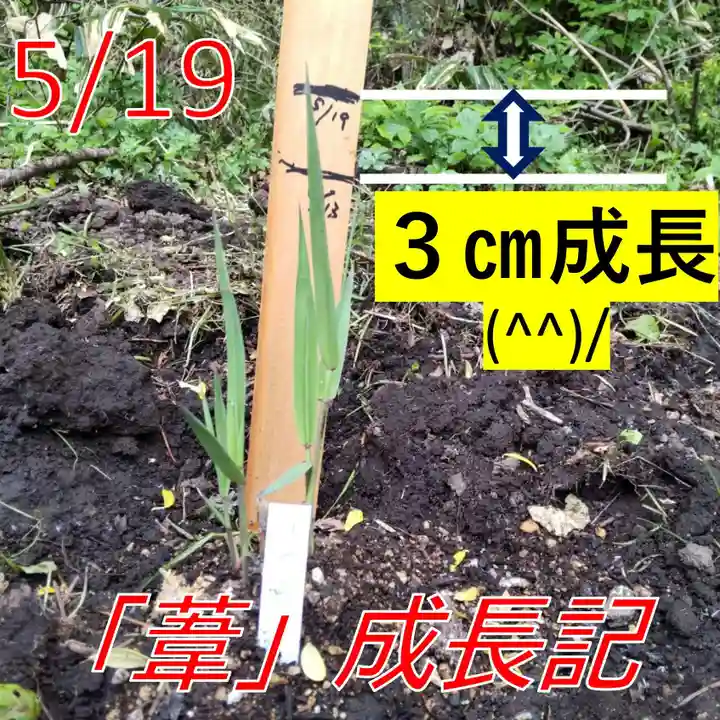 七重浜海津見神社(北海道)