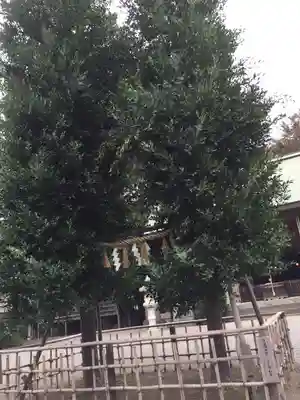 菅谷神社のその他建物