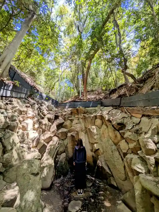 垂水神社の自然