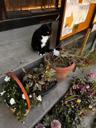 岡部春日神社～👹鬼門よけの🌺花咲く🌺やしろ～の{uncategorized: "未分類", other: "その他", undefined: "問題あり", building: "その他建物", grave: "お墓", sacred_gate: "鳥居", guardian: "狛犬", statue: "像", buddha: "仏像", history: "歴史", nature: "自然", garden: "庭園", animal: "動物", pagoda: "塔", temizu: "手水舎", mountain_gate: "山門・神門", sanctuary: "本殿・本堂", subordinate: "末社・摂社", art: "芸術", scenery: "景色", jizo: "地蔵", ema: "絵馬", goshuin: "御朱印", omikuji: "おみくじ", items: "授与品その他", amulet: "お守り", goshuincho: "御朱印帳", eats: "食事", festival: "お祭り", votive_dance: "神楽", shichigosan: "七五三参", wedding: "結婚式", experience: "体験その他", initially: "初詣", around: "周辺", anti_infection: "感染症対策"}