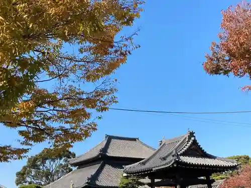 十輪寺(兵庫県)