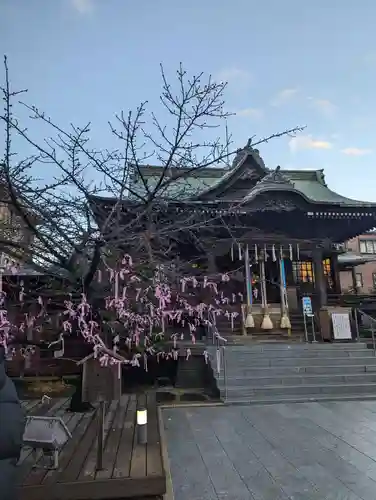 桜神宮(東京都)