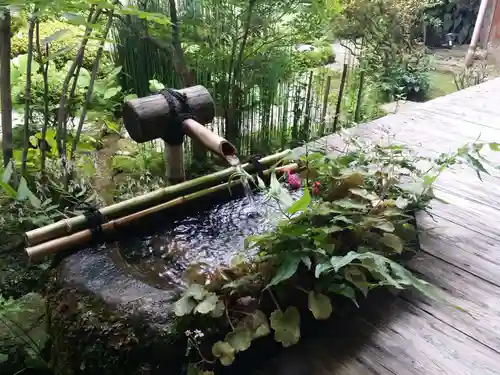 宝泉院の手水舎