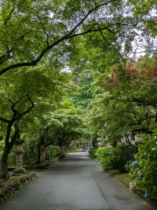 法華寺(岐阜県)