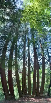 天岩戸神社(宮崎県)