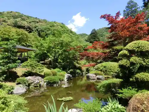 三室戸寺の庭園