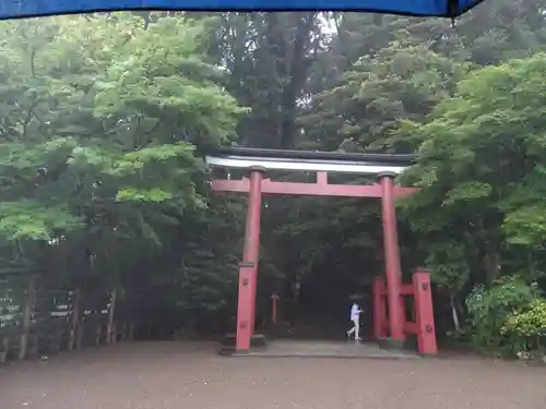 霧島東神社の鳥居