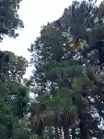 大宮温泉神社(栃木県)