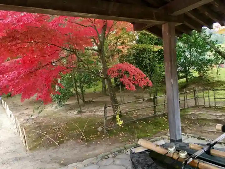 毛越寺の手水舎