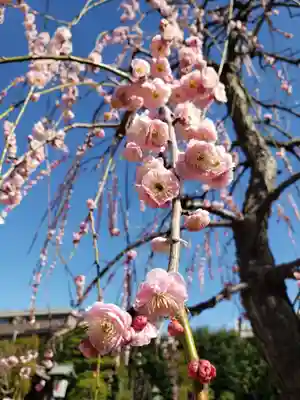 常性寺(東京都)