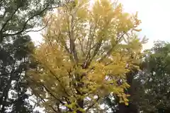 美奈宜神社(福岡県)