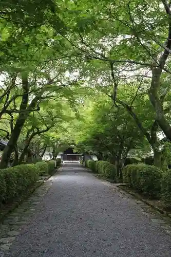 西教寺の建物その他