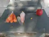 東京競馬場馬頭観音(東京都)