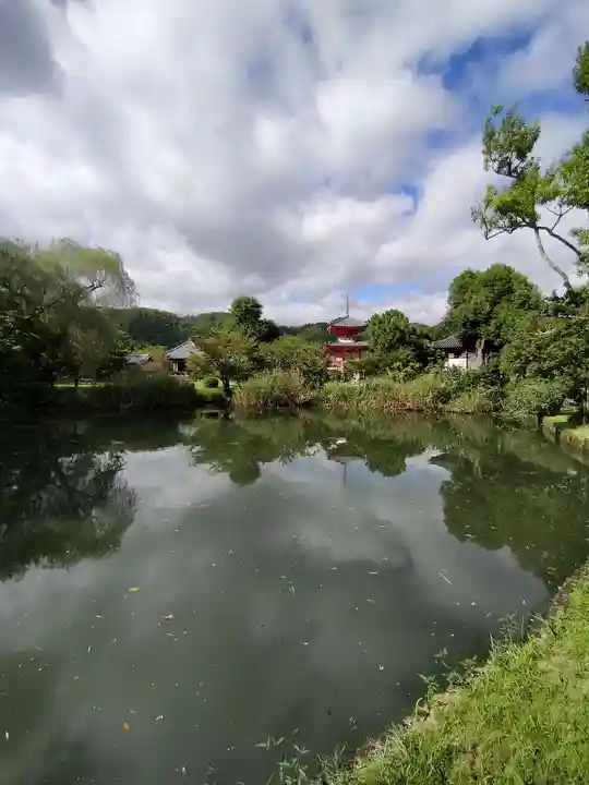 大覚寺(京都府)