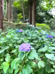 子檀嶺神社の自然