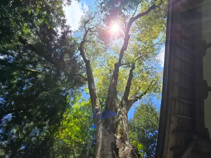 丹生川上神社(下社)(奈良県)