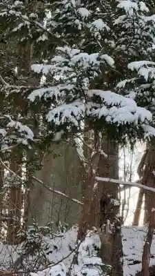 函館護國神社(北海道)