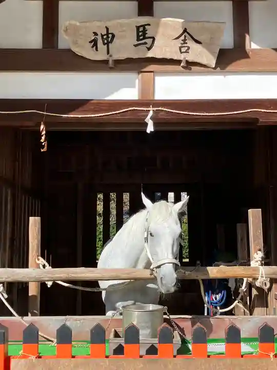 賀茂別雷神社(上賀茂神社)(京都府)