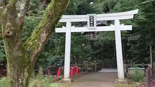 枚岡神社の鳥居