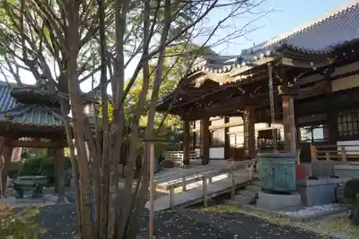 成願寺の本殿・本堂
