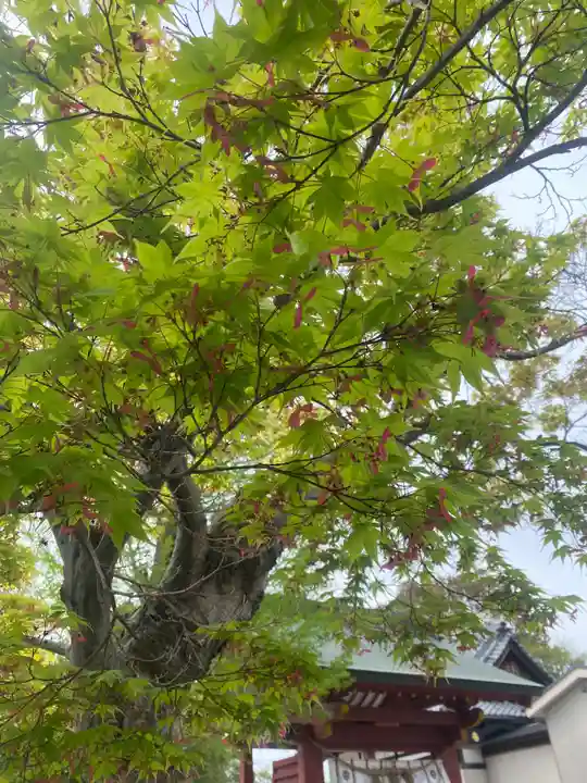 伊賀八幡宮(愛知県)