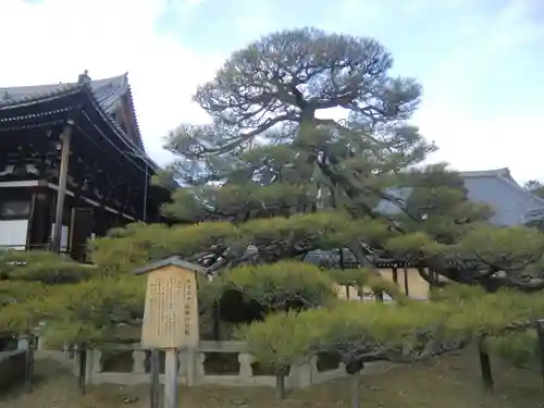 くろ谷 金戒光明寺(京都府)