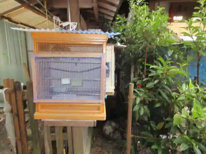 高知八幡宮(高知県)