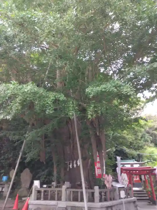 海南神社(神奈川県)