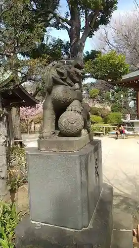 鳩森八幡神社の狛犬