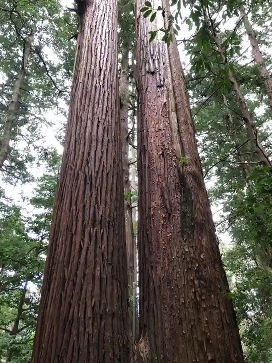 若狭彦神社(上社)(福井県)
