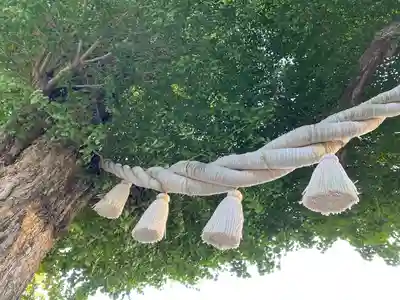 亀ケ池八幡宮のその他建物