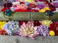 岡寺(龍蓋寺)(奈良県)