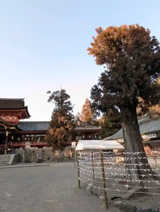 石清水八幡宮の{uncategorized: "未分類", other: "その他", undefined: "問題あり", building: "その他建物", grave: "お墓", sacred_gate: "鳥居", guardian: "狛犬", statue: "像", buddha: "仏像", history: "歴史", nature: "自然", garden: "庭園", animal: "動物", pagoda: "塔", temizu: "手水舎", mountain_gate: "山門・神門", sanctuary: "本殿・本堂", subordinate: "末社・摂社", art: "芸術", scenery: "景色", jizo: "地蔵", ema: "絵馬", goshuin: "御朱印", omikuji: "おみくじ", items: "授与品その他", amulet: "お守り", goshuincho: "御朱印帳", eats: "食事", festival: "お祭り", votive_dance: "神楽", shichigosan: "七五三参", wedding: "結婚式", experience: "体験その他", initially: "初詣", around: "周辺", anti_infection: "感染症対策"}