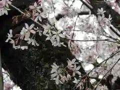 水火天満宮(京都府)