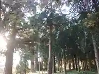 富士山法華本門寺根源のその他建物