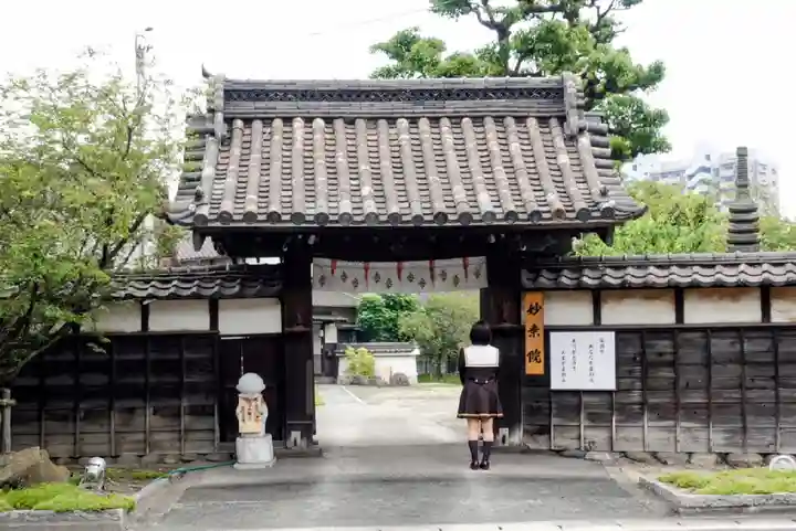 四季桜の寺 妙乗院の山門・神門