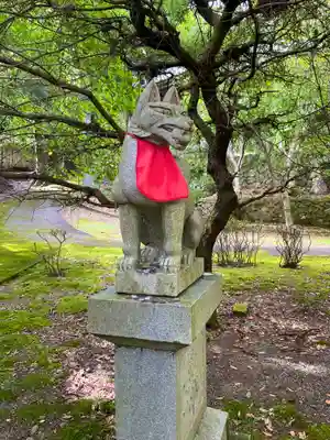 金剛證寺の狛犬