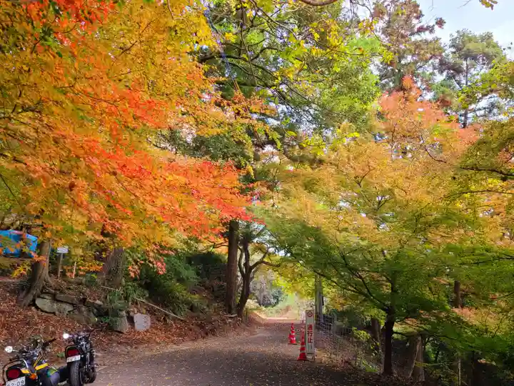 萬寿寺(お不動さん)の自然