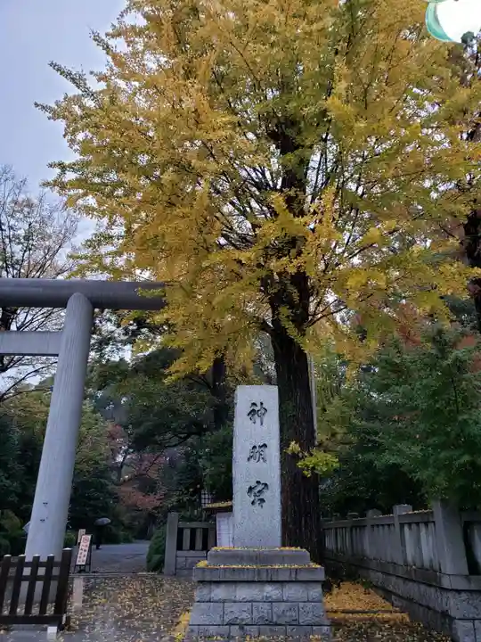 阿佐ヶ谷神明宮(東京都)