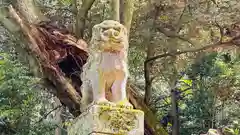 	八幡神社(福井県)