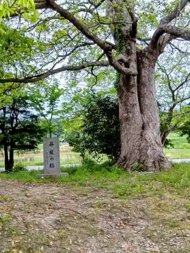 岩屋寺(福島県)