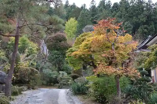 法雲寺の庭園