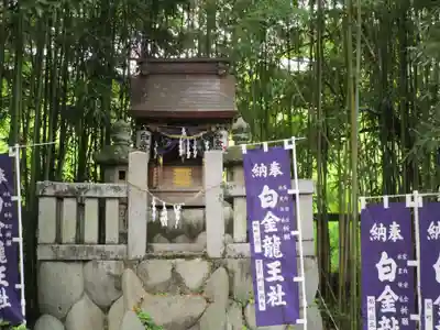 白金龍王社(愛知県)