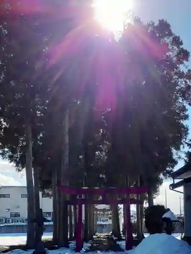 新山神社の鳥居