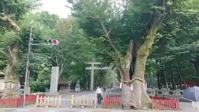 大國魂神社の周辺