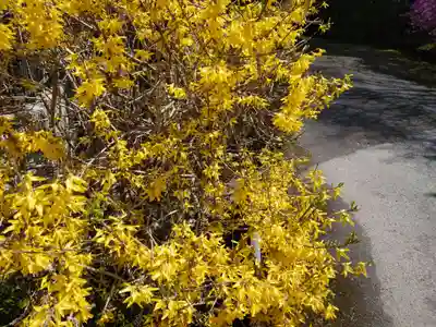 萩日吉神社の自然
